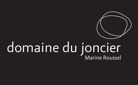 tout ce que tu peux faire ou rêver de faire, tu peux l’entreprendre. l’audace renferme en soi génie, pouvoir et magie.  débute maintenant